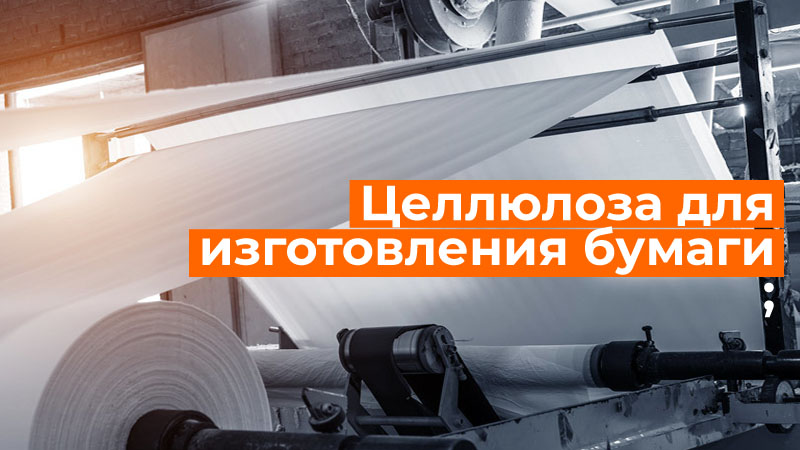 Целлюлоза для изготовления бумаги Целлюлоза для изготовления бумаги